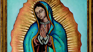 Lady of Guadalupe