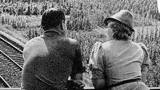 from the book-cover-The Director