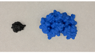 3D-Printed Insulin Molecules