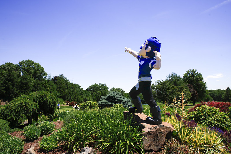 SHU Pirate on rock