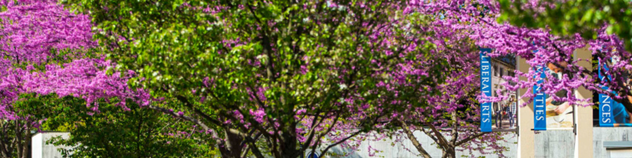 Flowers and banners