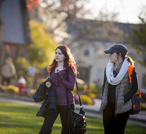 Students walking together on green