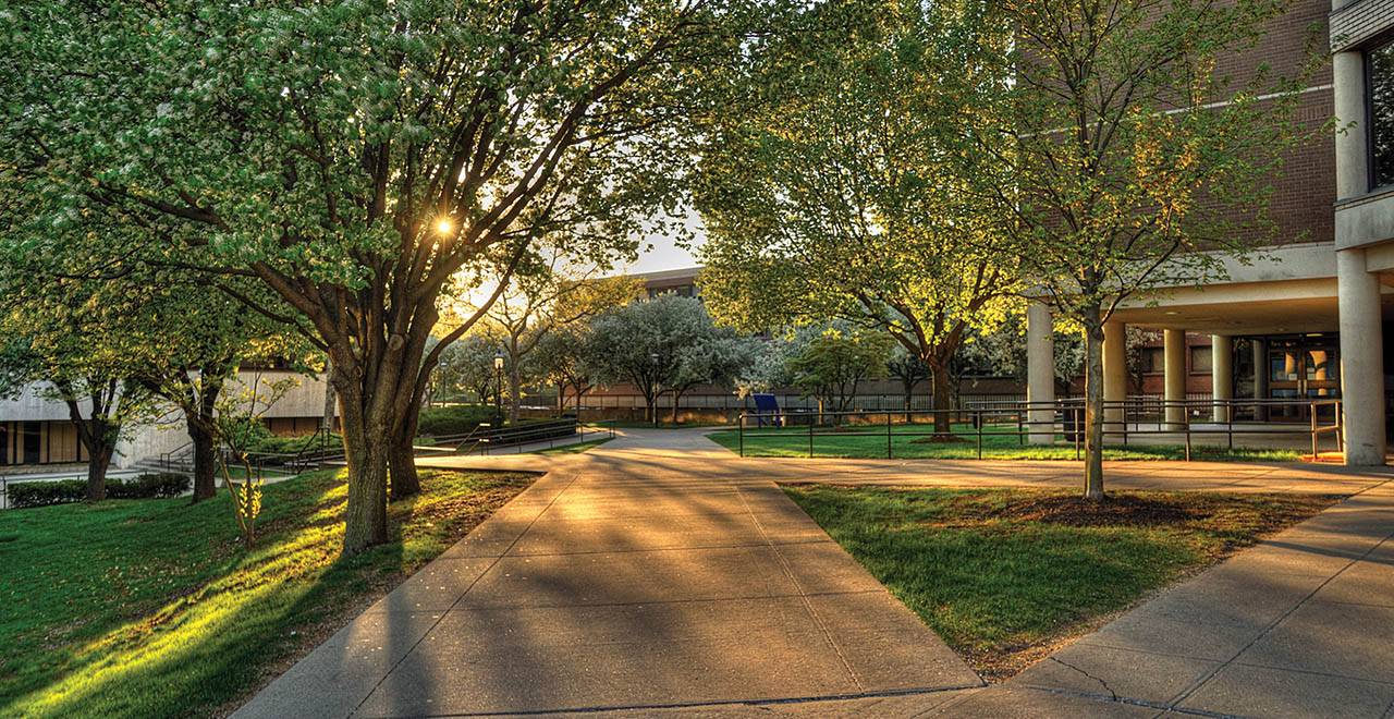 Walkway on campus