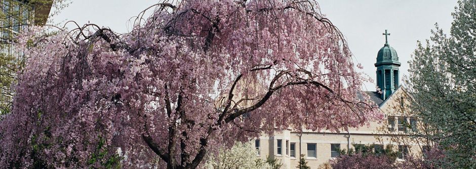 An Image of Mooney Hall. 