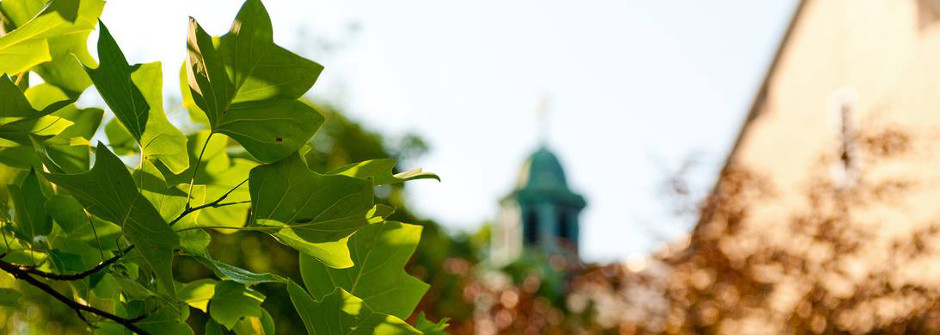 Mooney Hall with a tree branch in the foreground.