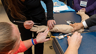 Nursing students practicing injections on a fake arm.