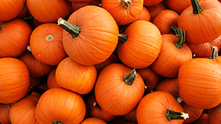 Pumpkins in a truck.
