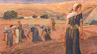 Ruth Gleaning in the Fields of Boaz.