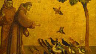 Saint Francis feeding birds painting