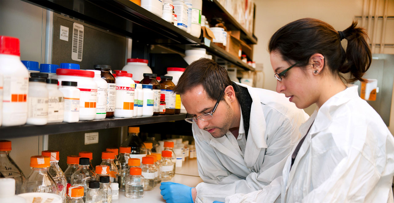 A photo of students working in a lab.