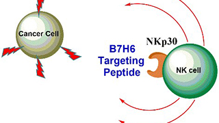 ChemistryTargeting