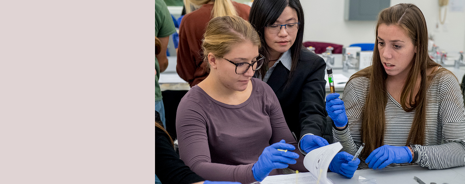 Inside our innovative Science and Technology Center, you’ll have access to cutting-edge equipment and work alongside faculty on research.