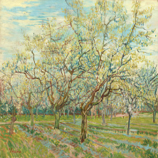 The White Orchard